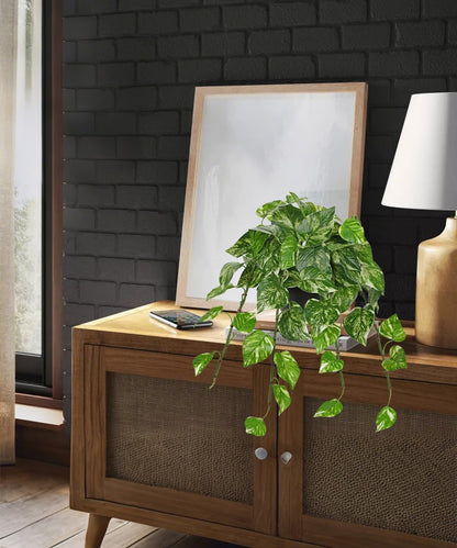 Artificial Plants Potted Alocasia Amazonica Polly Faux Plant with White Ceramic Pot Fake Hanging Plants Indoor for Home Living Room Shelf Office Aesthetic Decor
