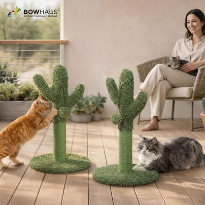Mushroom Cat Scratching Post, Mushroom Cat Scratcher with Sisal Rope and Interactive Hanging Ball, 20 Inch Scratching Post for Indoor Cats and Kittens