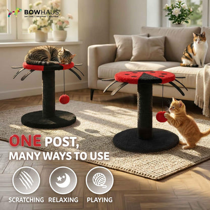 Mushroom Cat Scratching Post, Mushroom Cat Scratcher with Sisal Rope and Interactive Hanging Ball, 20 Inch Scratching Post for Indoor Cats and Kittens