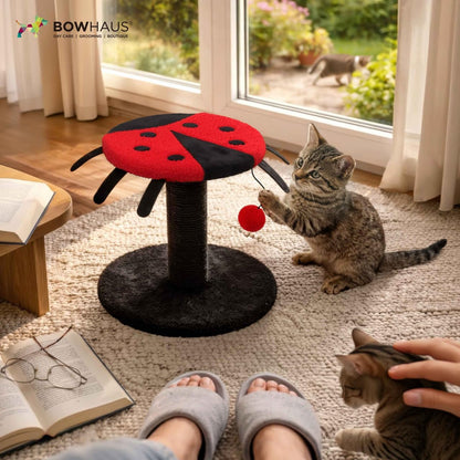 Mushroom Cat Scratching Post, Mushroom Cat Scratcher with Sisal Rope and Interactive Hanging Ball, 20 Inch Scratching Post for Indoor Cats and Kittens