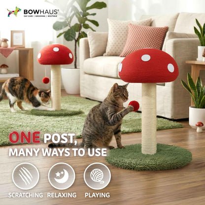 Mushroom Cat Scratching Post, Mushroom Cat Scratcher with Sisal Rope and Interactive Hanging Ball, 20 Inch Scratching Post for Indoor Cats and Kittens