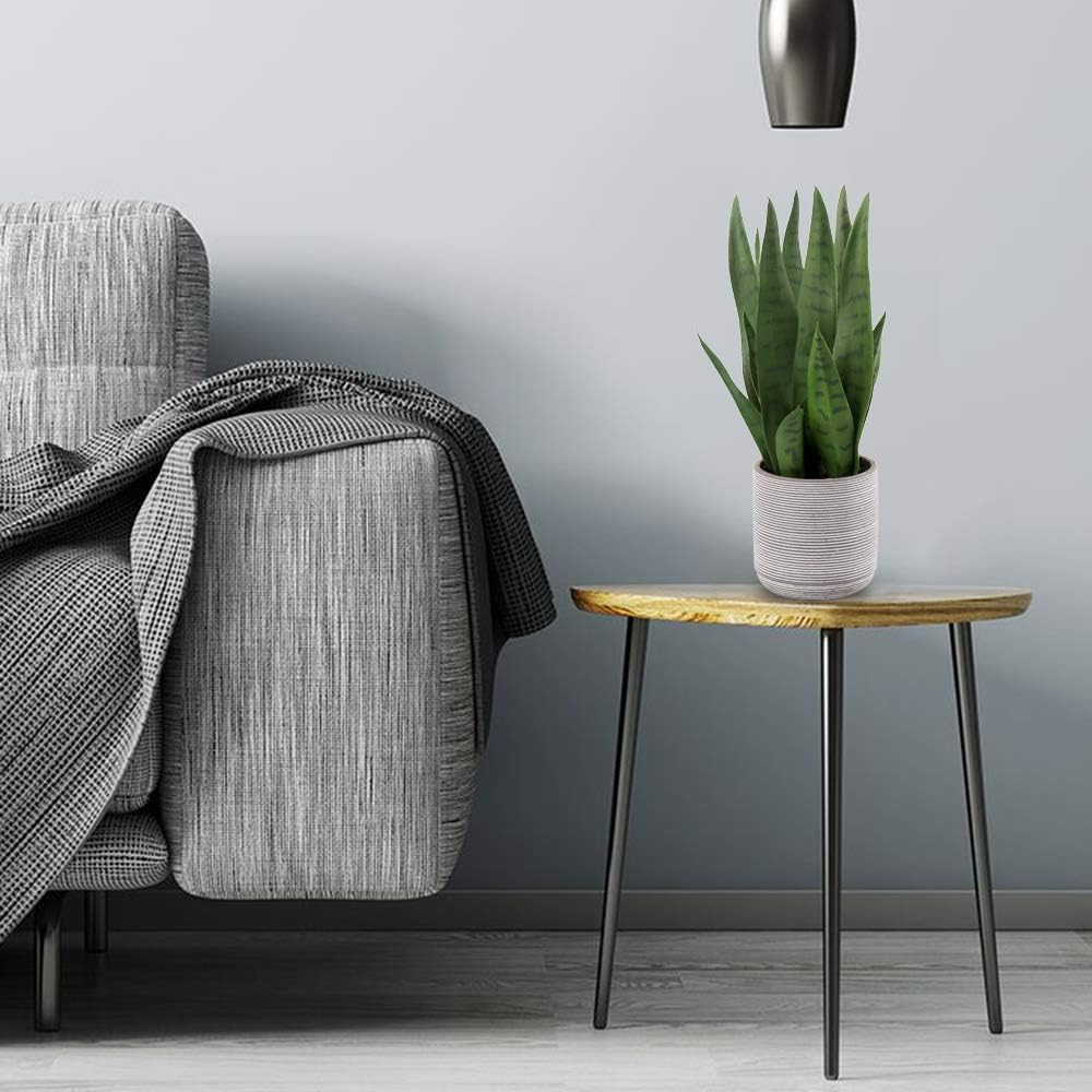 Fake Snake Plant 16" Faux Potted Plant Artificial Snake Plant with White Ceramic Pot Sansevieria Plant Perfect for House Modern Living Room Office Housewarming Gift Indoor Decor