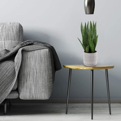 Fake Snake Plant 16" Faux Potted Plant Artificial Snake Plant with White Ceramic Pot Sansevieria Plant Perfect for House Modern Living Room Office Housewarming Gift Indoor Decor