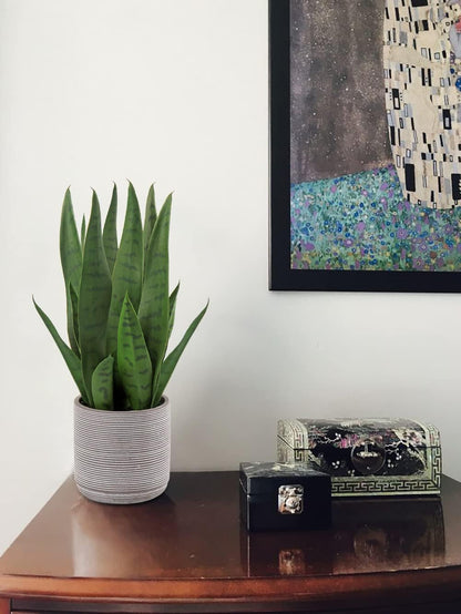 Fake Snake Plant 16" Faux Potted Plant Artificial Snake Plant with White Ceramic Pot Sansevieria Plant Perfect for House Modern Living Room Office Housewarming Gift Indoor Decor
