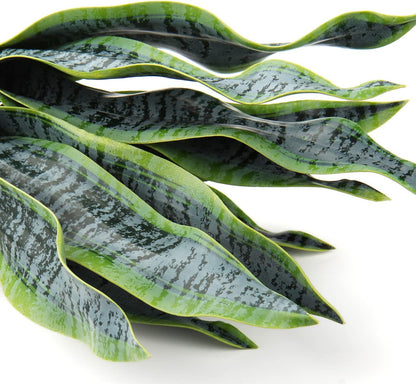 Fake Snake Plant 16" Faux Potted Plant Artificial Snake Plant with White Ceramic Pot Sansevieria Plant Perfect for House Modern Living Room Office Housewarming Gift Indoor Decor
