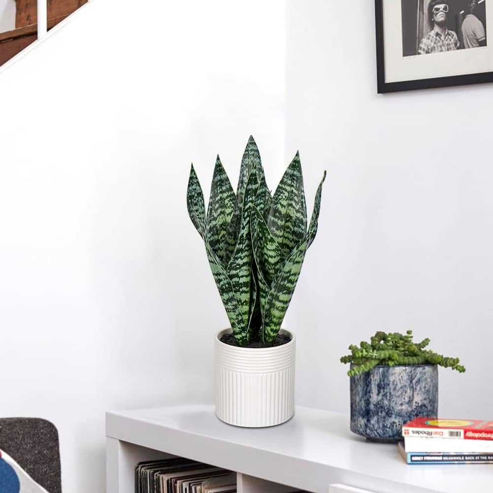 Fake Snake Plant 16" Faux Potted Plant Artificial Snake Plant with White Ceramic Pot Sansevieria Plant Perfect for House Modern Living Room Office Housewarming Gift Indoor Decor