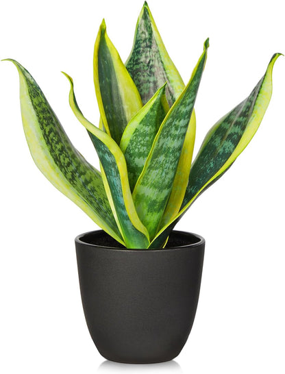 Fake Snake Plant 16" Faux Potted Plant Artificial Snake Plant with White Ceramic Pot Sansevieria Plant Perfect for House Modern Living Room Office Housewarming Gift Indoor Decor