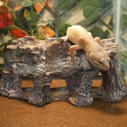 Grotto Natural Cliff Rock-Scape Cave Hide Out – Terrarium and Aquarium Décor for Reptiles, Amphibians, Fish, and Other Small Animals – Medium Size (RR700)