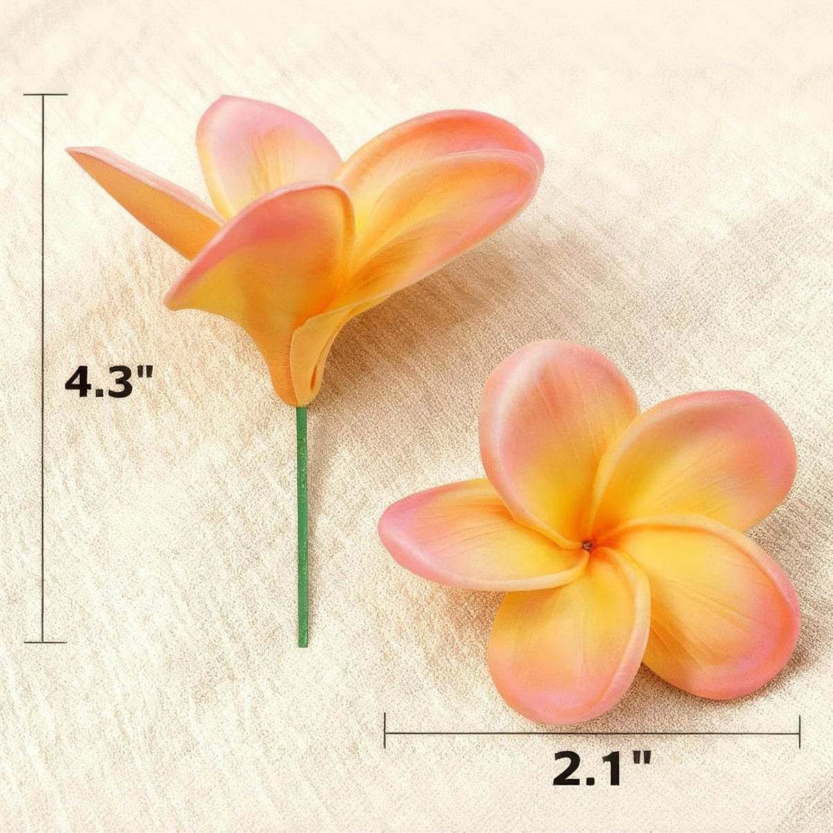 10PCS Artificial Plumeria Flowers with Stem, Apricot