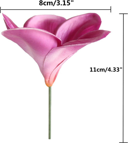 10PCS Artificial Plumeria Flowers with Stem, Apricot