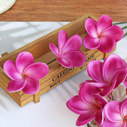 10PCS Artificial Plumeria Flowers with Stem, Apricot