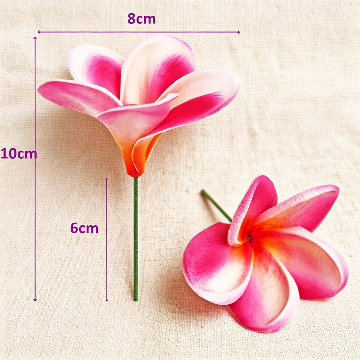 10PCS Artificial Plumeria Flowers with Stem, Apricot