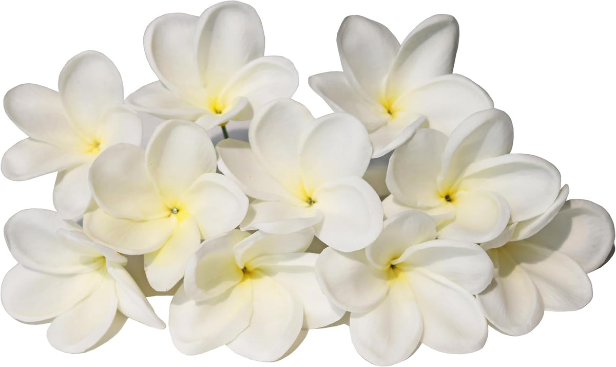 10PCS Artificial Plumeria Flowers with Stem, Apricot