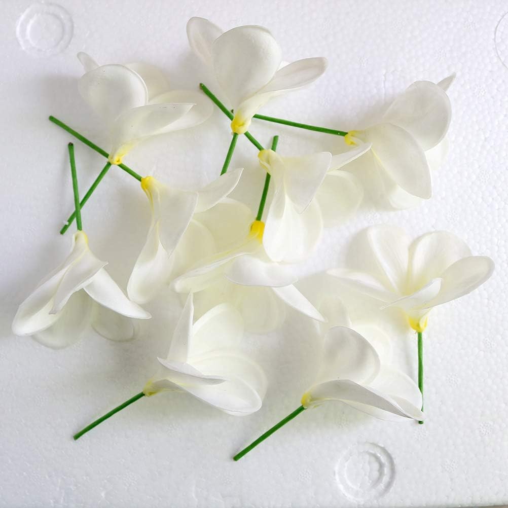 10PCS Artificial Plumeria Flowers with Stem, Apricot
