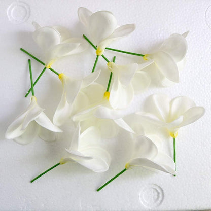 10PCS Artificial Plumeria Flowers with Stem, Apricot