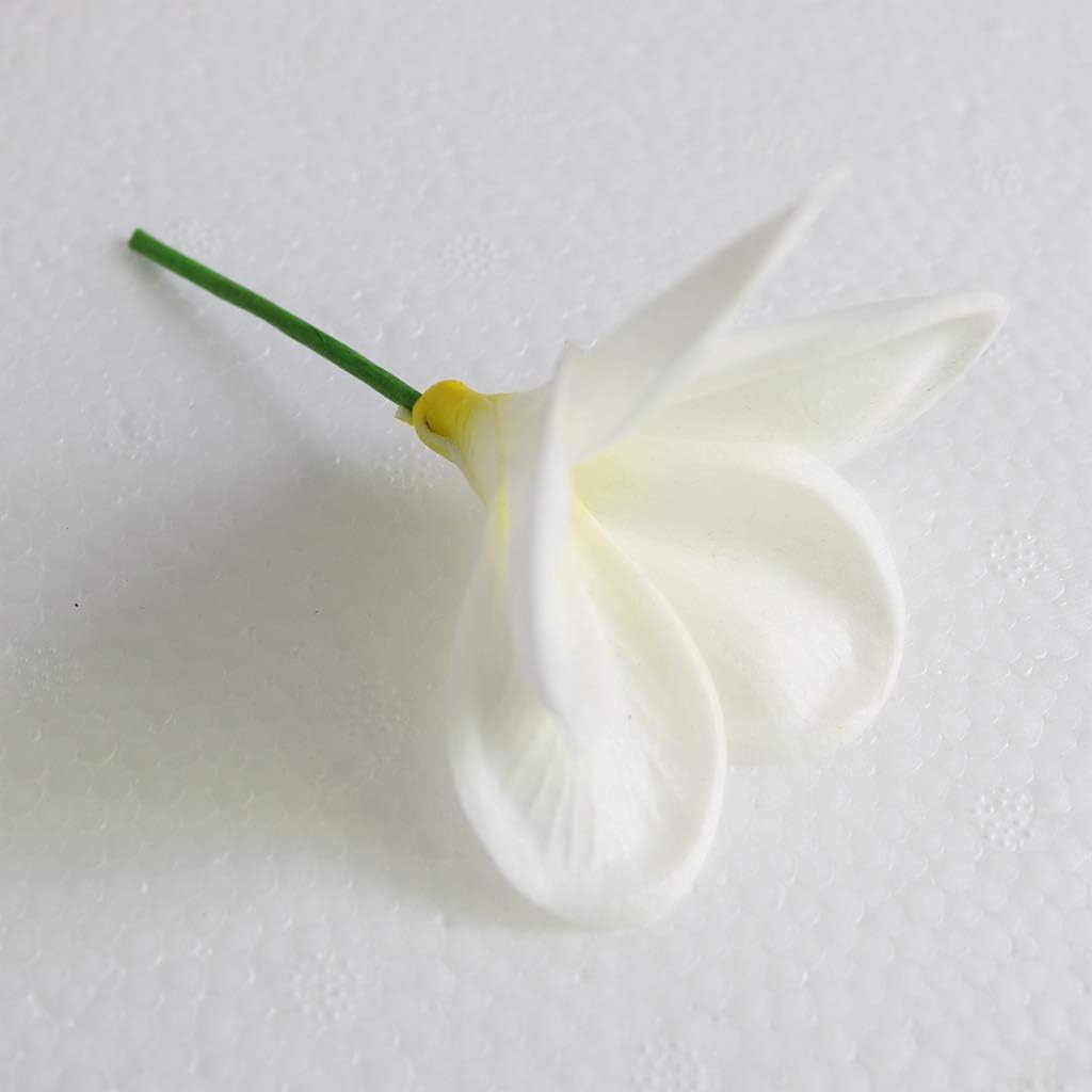 10PCS Artificial Plumeria Flowers with Stem, Apricot