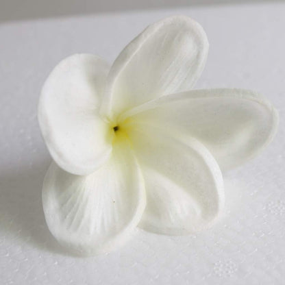 10PCS Artificial Plumeria Flowers with Stem, Apricot