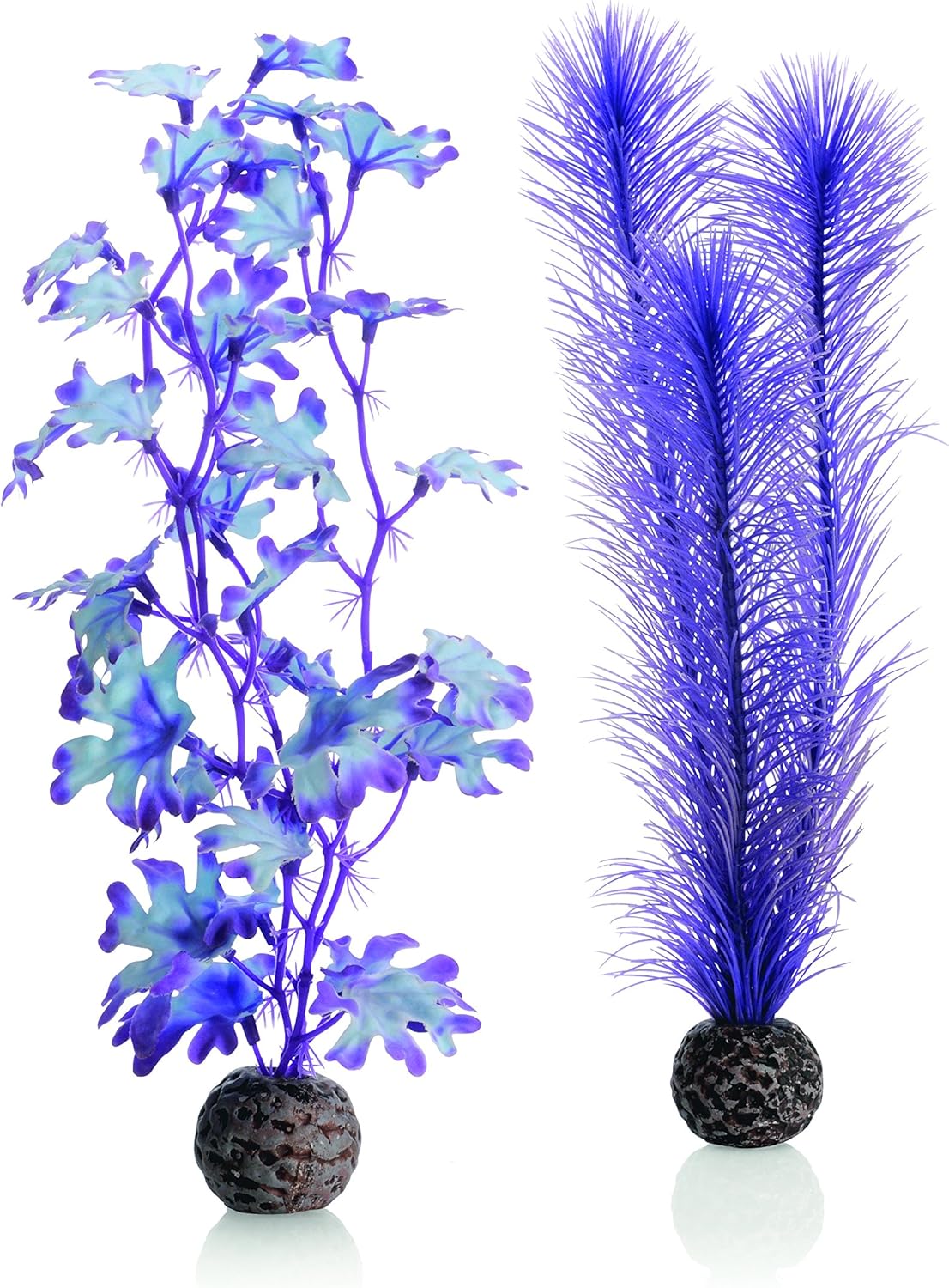 46080.0 Kelp Set Medium Purple Aquariums