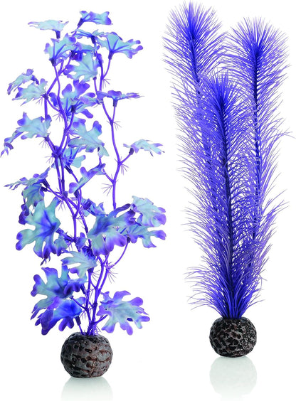 46080.0 Kelp Set Medium Purple Aquariums