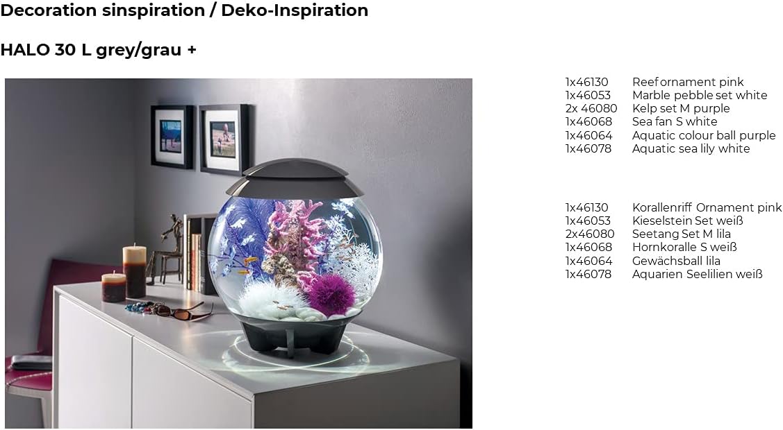 46080.0 Kelp Set Medium Purple Aquariums