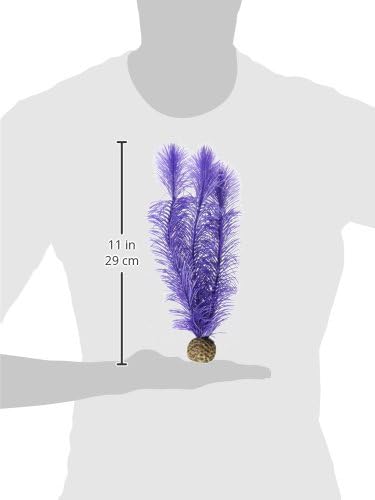 46080.0 Kelp Set Medium Purple Aquariums