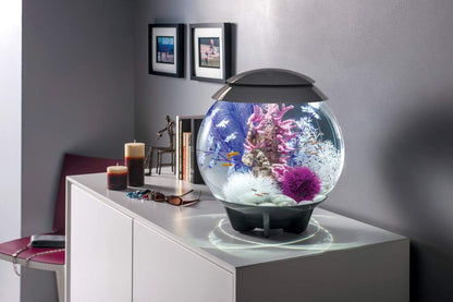 46080.0 Kelp Set Medium Purple Aquariums
