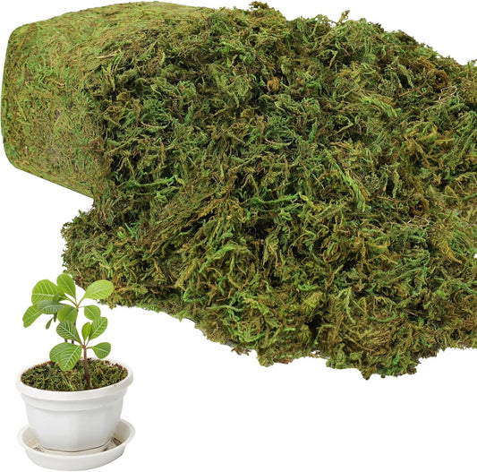17.6 OZ Large Capacity Artificial Moss for Potted Plants,Natural Fake Moss Grass for Plants Indoor,Craft and Greenery Bulk for Hamsters(Fresh Green)