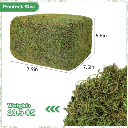 17.6 OZ Large Capacity Artificial Moss for Potted Plants,Natural Fake Moss Grass for Plants Indoor,Craft and Greenery Bulk for Hamsters(Fresh Green)