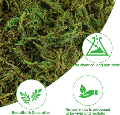 17.6 OZ Large Capacity Artificial Moss for Potted Plants,Natural Fake Moss Grass for Plants Indoor,Craft and Greenery Bulk for Hamsters(Fresh Green)