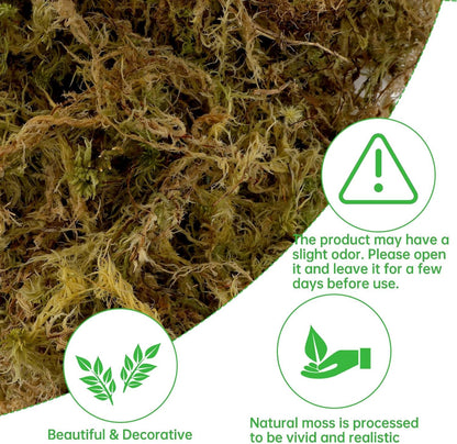17.6 OZ Large Capacity Artificial Moss for Potted Plants,Natural Fake Moss Grass for Plants Indoor,Craft and Greenery Bulk for Hamsters(Fresh Green)