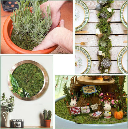 17.6 OZ Large Capacity Artificial Moss for Potted Plants,Natural Fake Moss Grass for Plants Indoor,Craft and Greenery Bulk for Hamsters(Fresh Green)