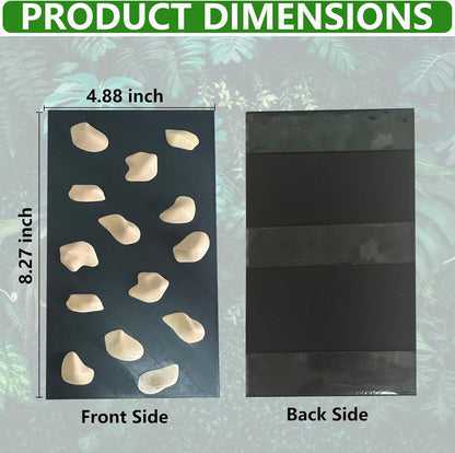 Rock Climbing Wall for Bearded Dragons Climbing Rock Wall Grips for Bearded Dragons Tank Accessories Reptiles Toy (Beige)