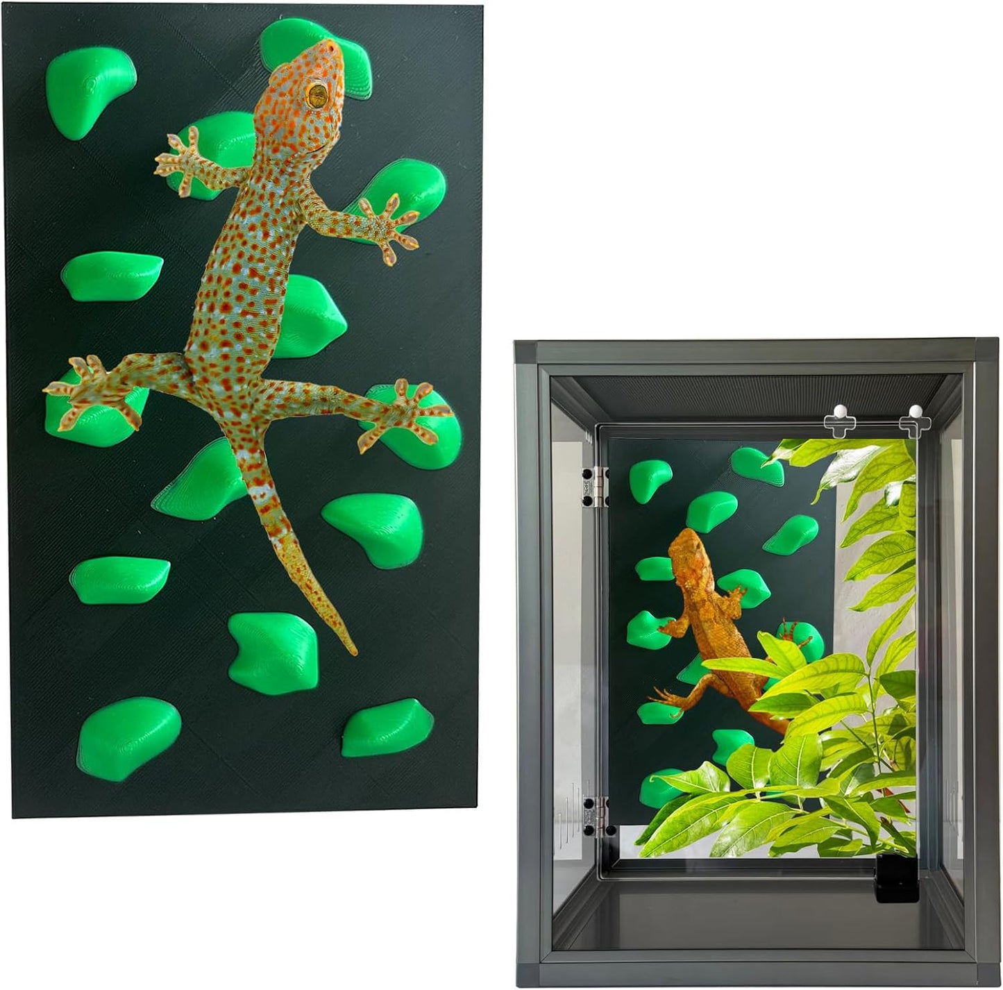 Rock Climbing Wall for Bearded Dragons Climbing Rock Wall Grips for Bearded Dragons Tank Accessories Reptiles Toy (Beige)