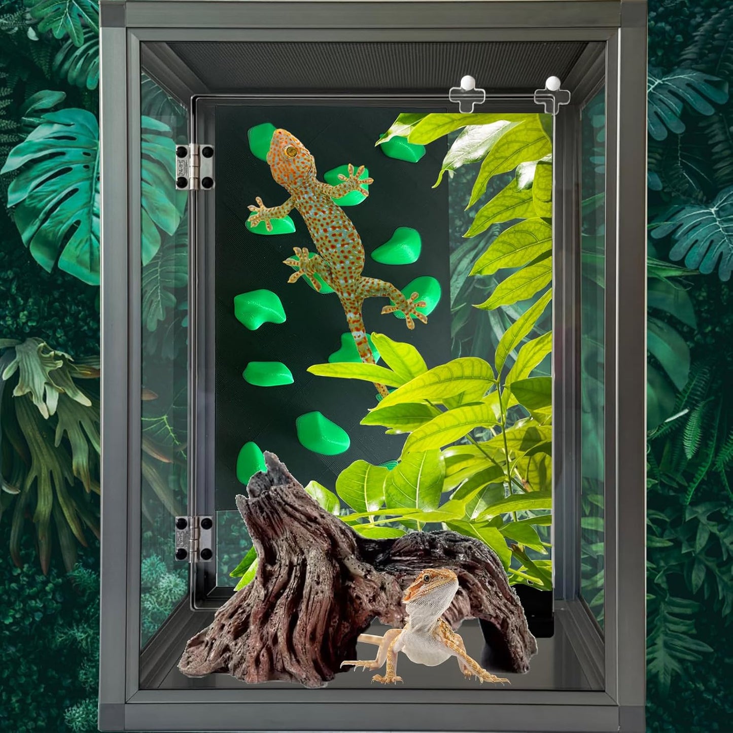 Rock Climbing Wall for Bearded Dragons Climbing Rock Wall Grips for Bearded Dragons Tank Accessories Reptiles Toy (Beige)