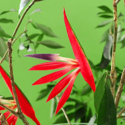 10 Pieces Bird of Paradise Artificial Plant 22 Inch Hawaiian Tropical Flowers Faux Flowers Bouquet Large Elegant Green Plant for Home Garden Decoration Office Wedding Decor Supplies (Red)