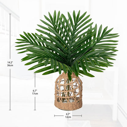 Faux Greenery Stems in Glass Vase with Faux Water, Silk Alocasia Realistic Fake Plants Artificial Tropical Leaves for Home Office Farmhouse Wedding Centerpiece Décor
