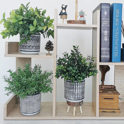 Set of 3 Small Potted Plants Artificial Eucalyptus Rosemary Boxwood Plants in Black and White Geometric Pots for Table Centerpiece Kitchen Counter Windowsill Indoor Outdoor Garden Greens Decor