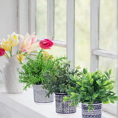 Set of 3 Small Potted Plants Artificial Eucalyptus Rosemary Boxwood Plants in Black and White Geometric Pots for Table Centerpiece Kitchen Counter Windowsill Indoor Outdoor Garden Greens Decor