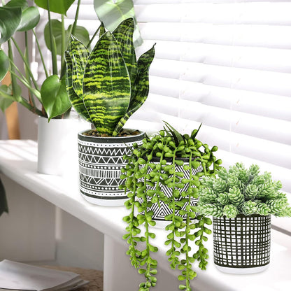 3 Pcs Small Potted Plants Artificial Succulents Hanging Plants and Faux Tropical Snake Plant in Black Geometric Pots for Modern Home Kitchen Windowsill Table Shelf Indoor Outdoor Greenery Decor