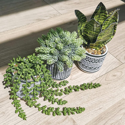 3 Pcs Small Potted Plants Artificial Succulents Hanging Plants and Faux Tropical Snake Plant in Black Geometric Pots for Modern Home Kitchen Windowsill Table Shelf Indoor Outdoor Greenery Decor