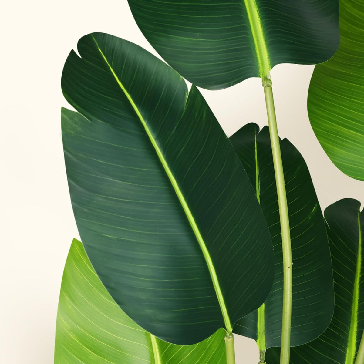 Artificial Bird of Paradise Plant,5.2Ft Faux Banana Tree