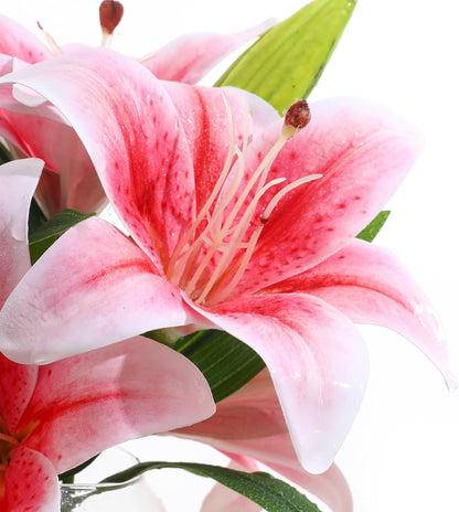 Artificial White Magnolia Flowers in Glass Vase with Faux Water, Realistic Touch Silk Magnolia Floral Arrangement, Fake Magnolia Centerpiece for Home Dining Table Office Bathroom Shelf Decor