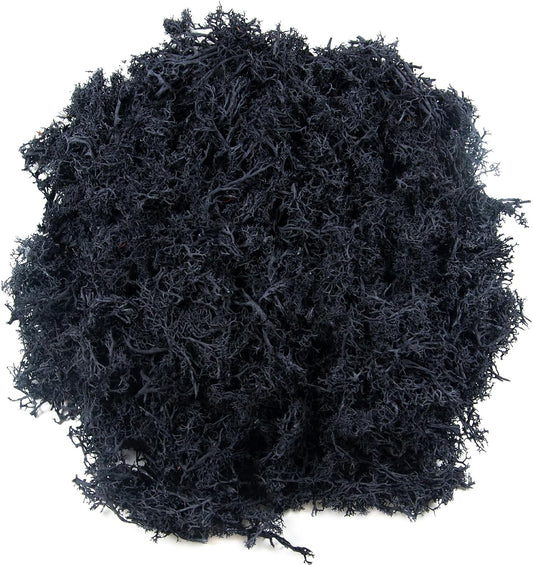 3.5 OZ Fake Moss for Plants Indoor, Realistic Artificial Black Moss Preserved Moss for Crafts,Reindeer Moss for DIY Table Centerpieces, Terrarium Decor, Fairy Garden Accessories