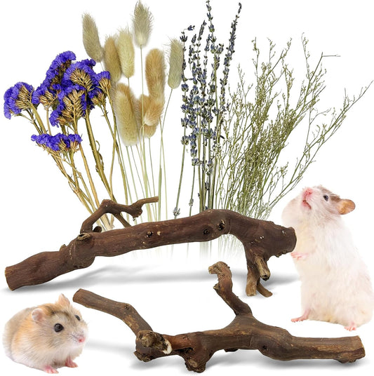 2Pcs Hamster Climbing Branches Decor 11.8in Rat Tree Logs Toy Wooden Gerbil Habitat Ornament Small Animal Cage Accessories with 31Pcs Natural Flower Hamster Mate Herbs