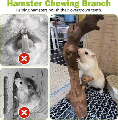 2Pcs Hamster Climbing Branches Decor 11.8in Rat Tree Logs Toy Wooden Gerbil Habitat Ornament Small Animal Cage Accessories with 31Pcs Natural Flower Hamster Mate Herbs