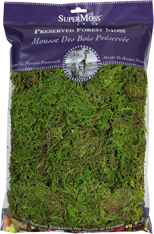 (25322) Forest Moss Preserved, Fresh Green, 8oz