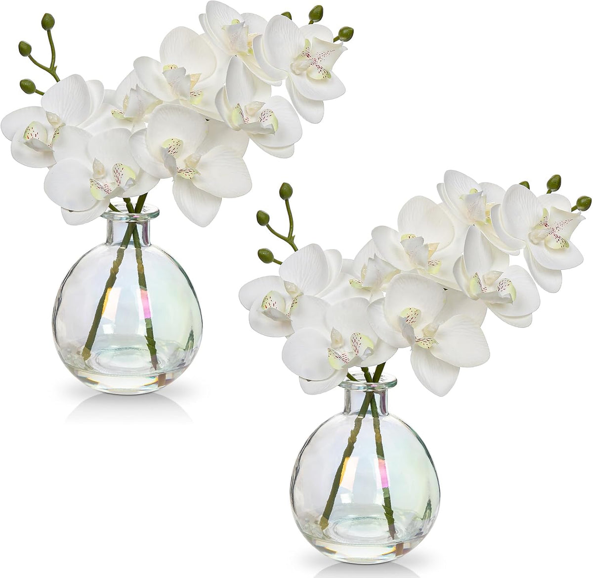 White Orchids Artificial Flowers Faux Orchid Arrangement with Black Glass Vase Set of 2 Real Touch Phalaenopsis Orchid Flowers Orchid Centerpiece for Dining Room Table