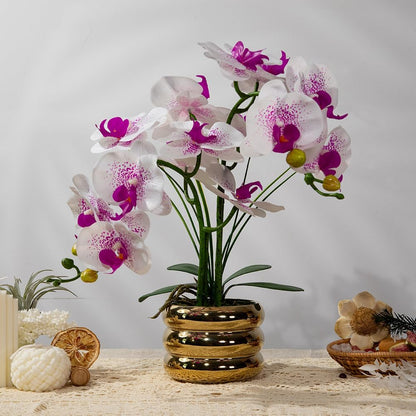 Artificial Orchids Flowers with Vase for Table Centerpieces, Real Touch Faux White Orchid Phalaenopsis in Ceramic Vase for Home Wedding Kitchen Decoration (White, Purple)